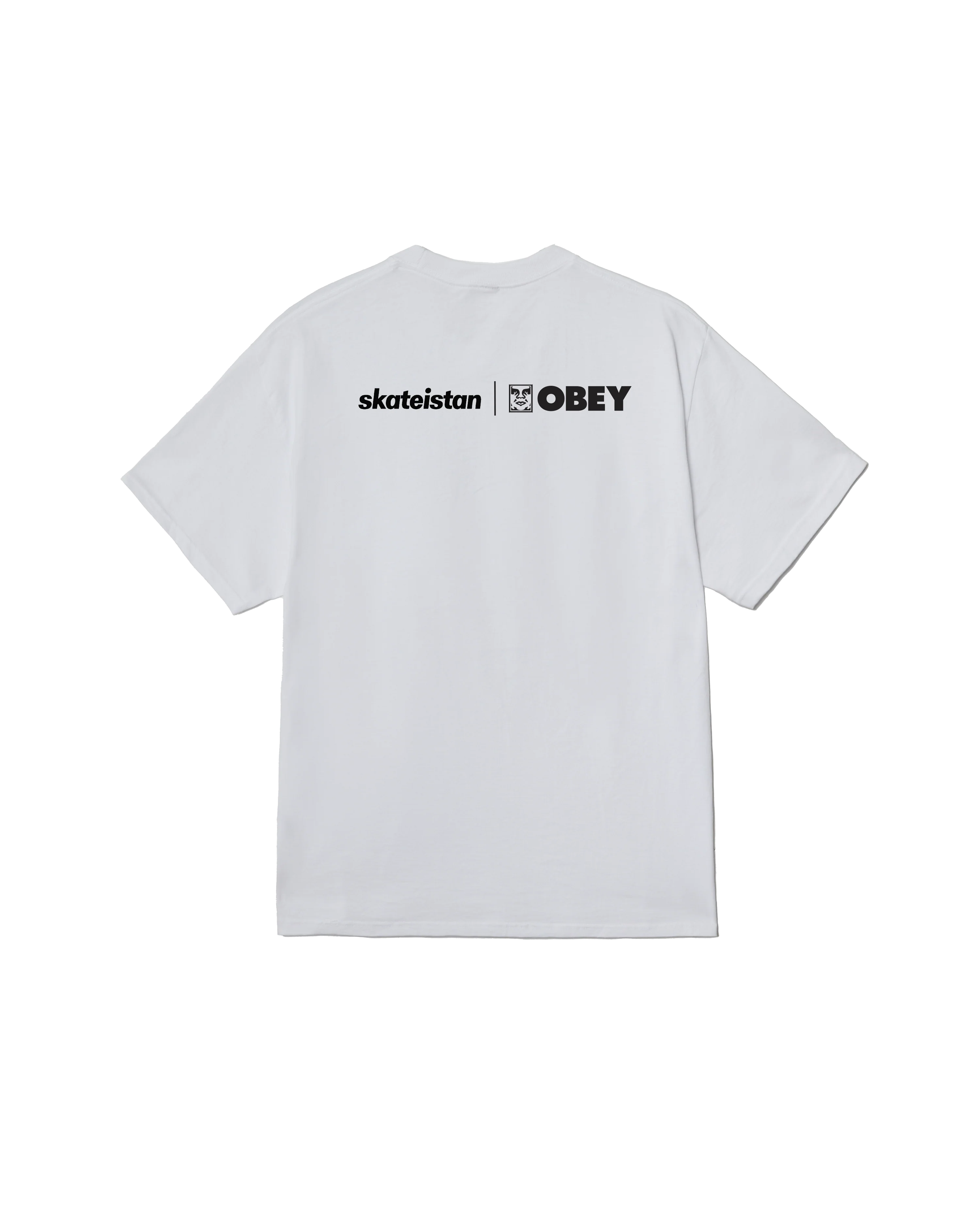 SKATEISTAN / PHOTO CLASSIC T-SHIRT - Image 2